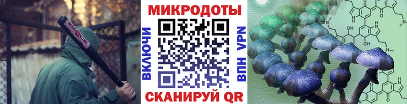 Галлюциногенные грибы Psilocybine cubensis  сайты даркнета формула  Пойковский  даркнет сайт 